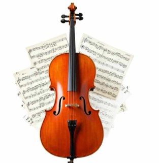 Pro CELLO